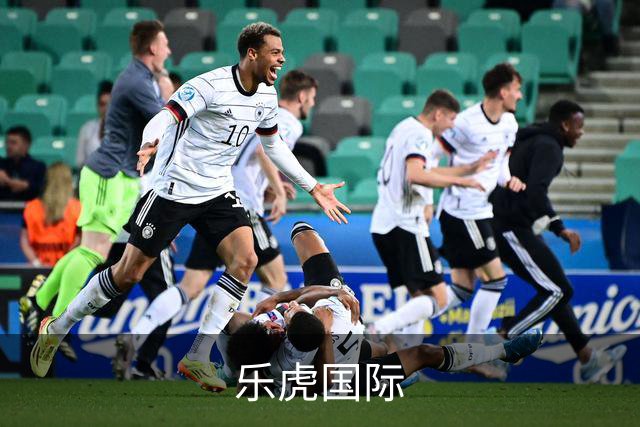乐虎国际公司简介配图